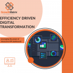 Efficiency-driven Digital Transformation – Leveraging the Power of Interactive KPI Dashboards