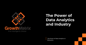 Read more about the article Using Data to Analyze Industries in Botswana